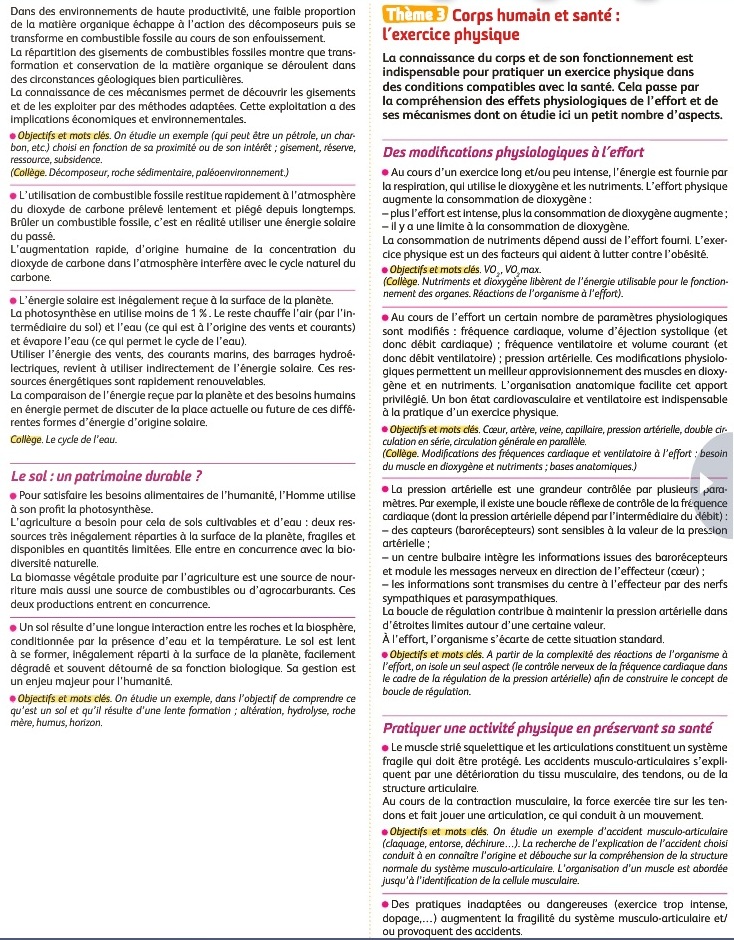 prog2